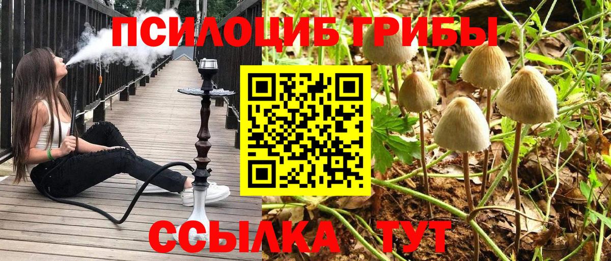 Галлюциногенные грибы Magic Shrooms Таганрог