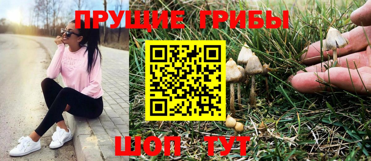 Псилоцибиновые грибы мицелий  Вход с VPN  дарнет шоп  Галлюциногенные грибы мухоморы  Таганрог 